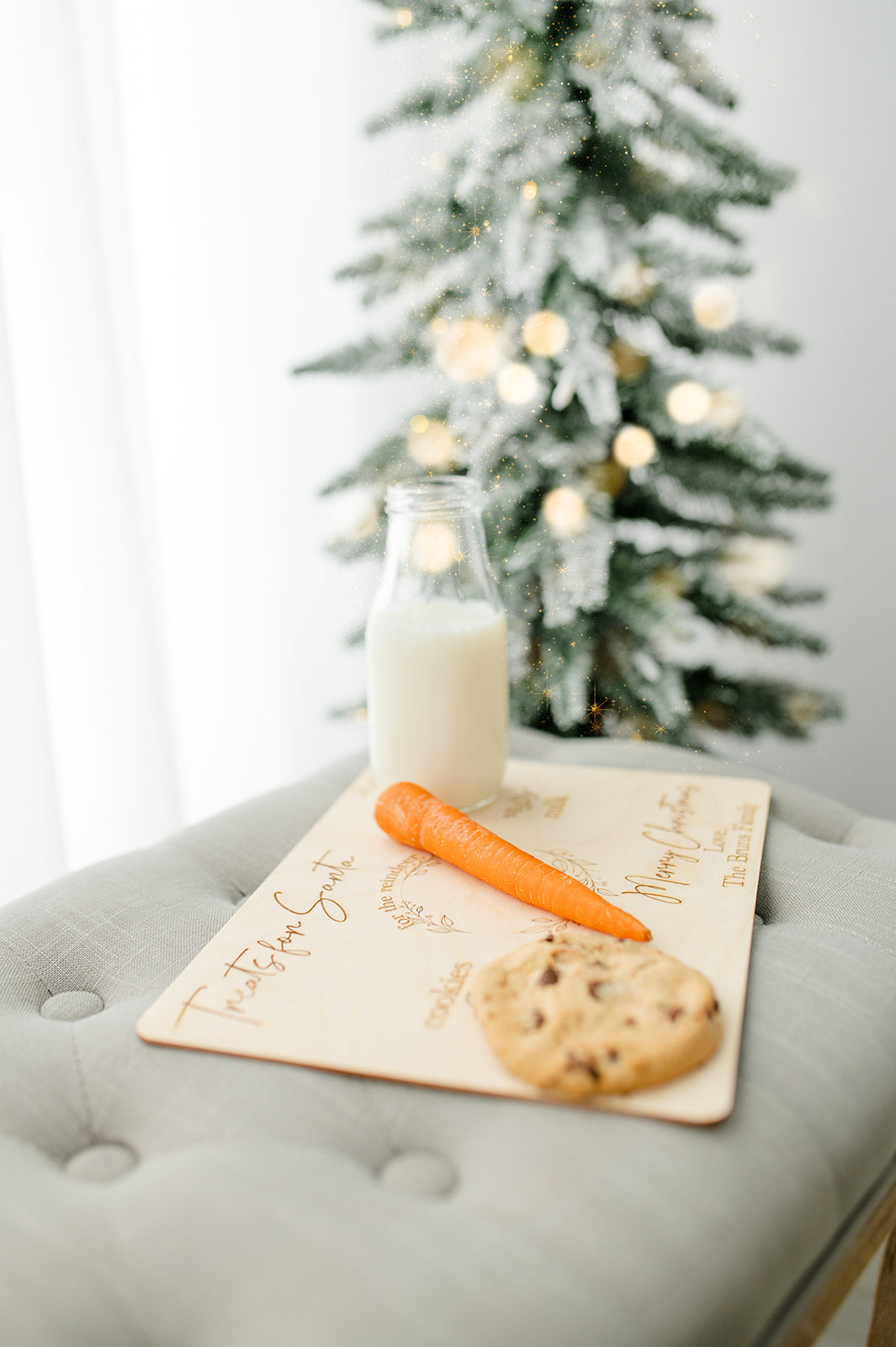 Santa Treat Tray